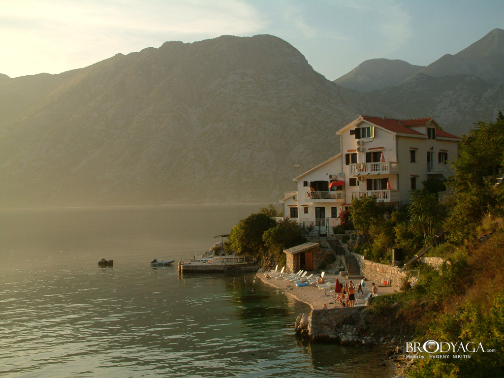 Kotor